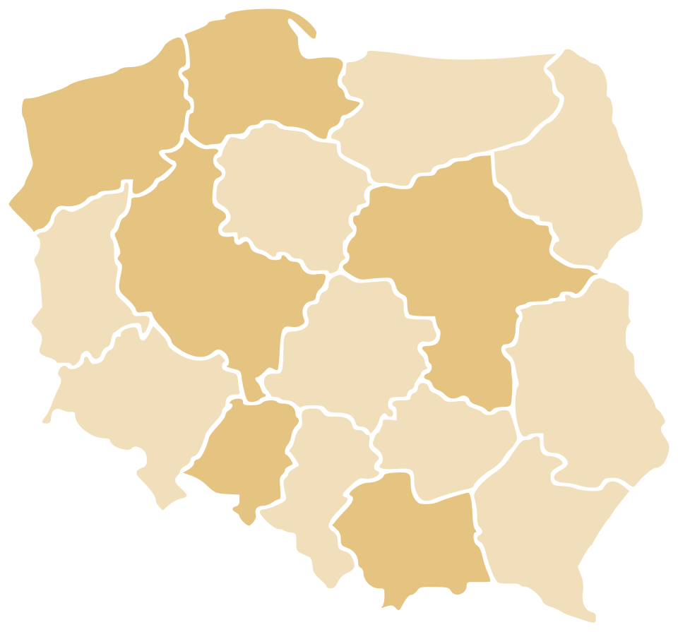 Mapa Polski — pinezki regionalnych poszukiwaczy